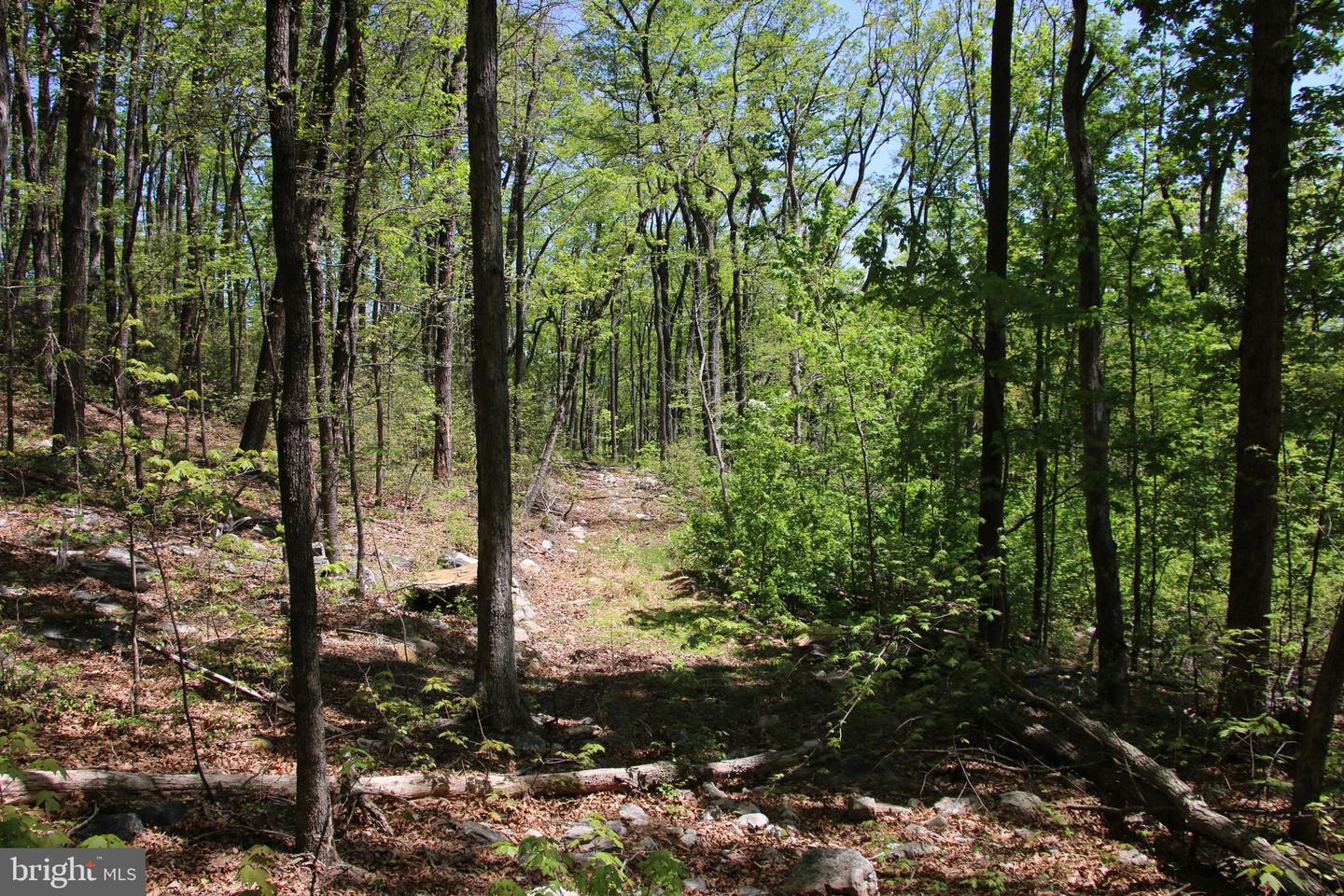 N EGYPT BEND RD, LURAY, Virginia 22835, ,Land,For sale,N EGYPT BEND RD,VAPA2004810 MLS # VAPA2004810