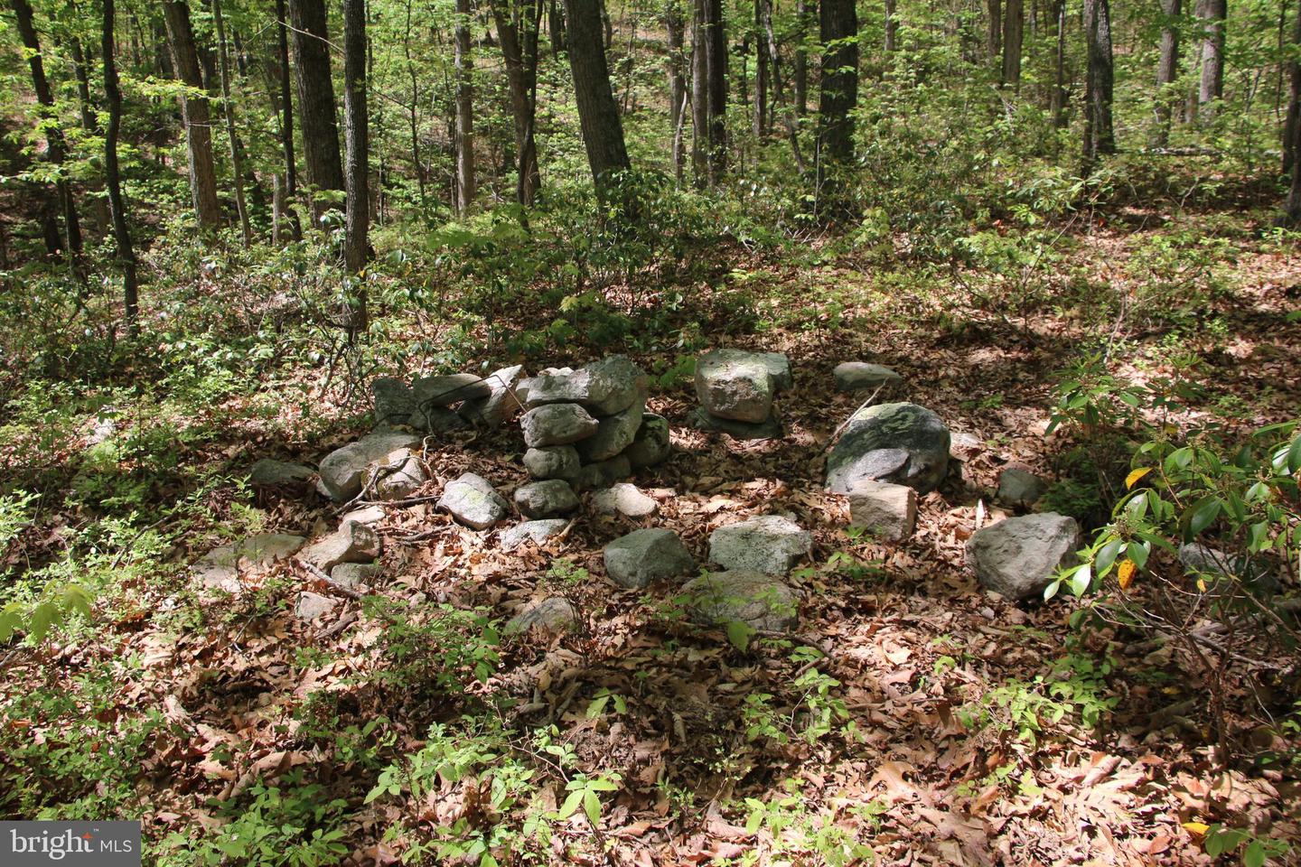 N EGYPT BEND RD, LURAY, Virginia 22835, ,Land,For sale,N EGYPT BEND RD,VAPA2004810 MLS # VAPA2004810