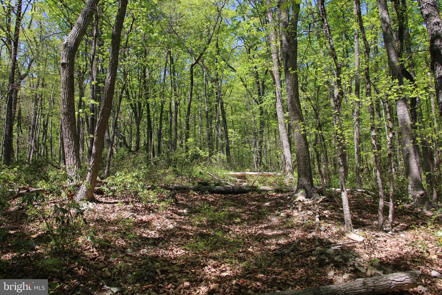 N EGYPT BEND RD, LURAY, Virginia 22835, ,Land,For sale,N EGYPT BEND RD,VAPA2004810 MLS # VAPA2004810