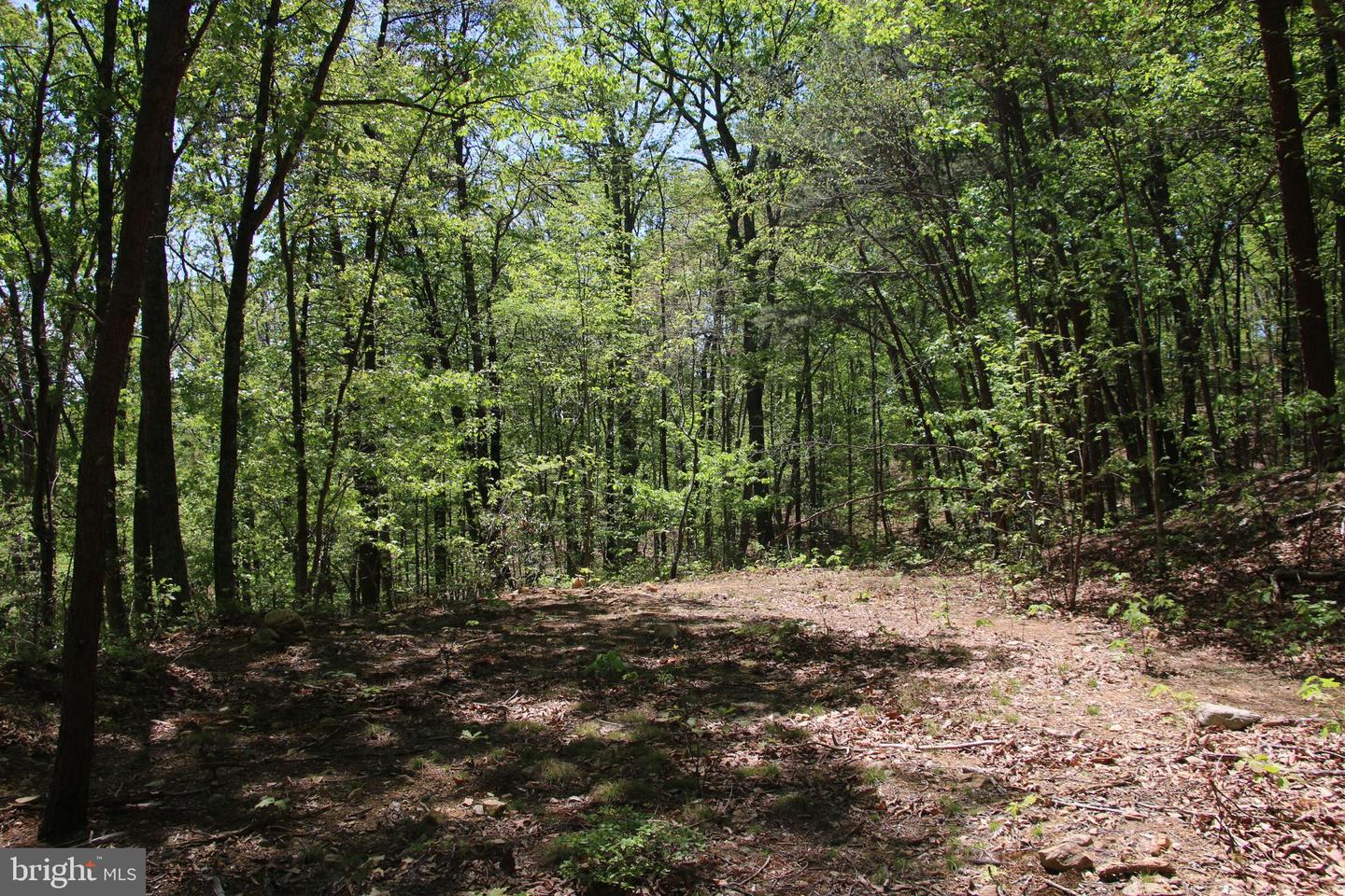 N EGYPT BEND RD, LURAY, Virginia 22835, ,Land,For sale,N EGYPT BEND RD,VAPA2004810 MLS # VAPA2004810