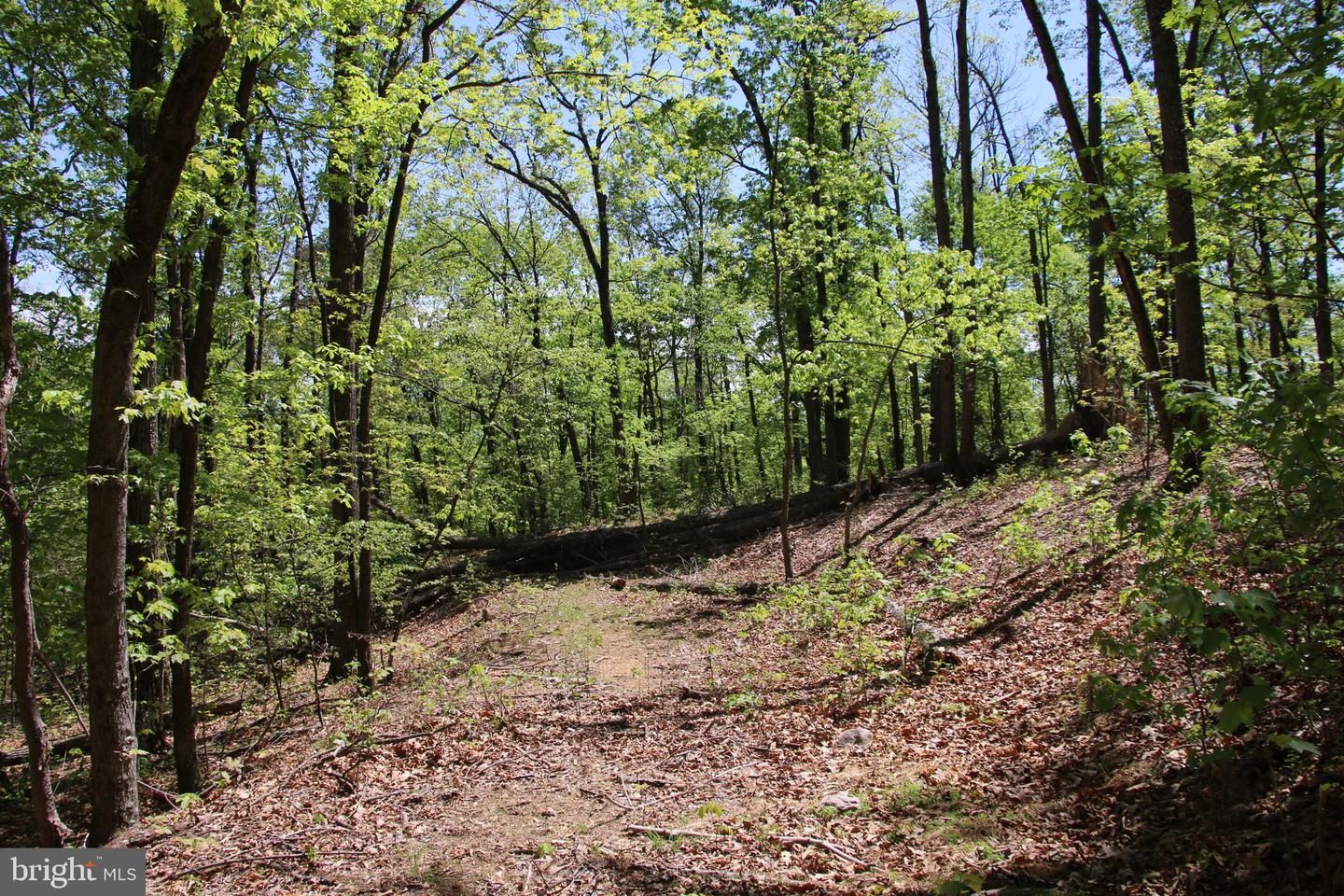 N EGYPT BEND RD, LURAY, Virginia 22835, ,Land,For sale,N EGYPT BEND RD,VAPA2004810 MLS # VAPA2004810