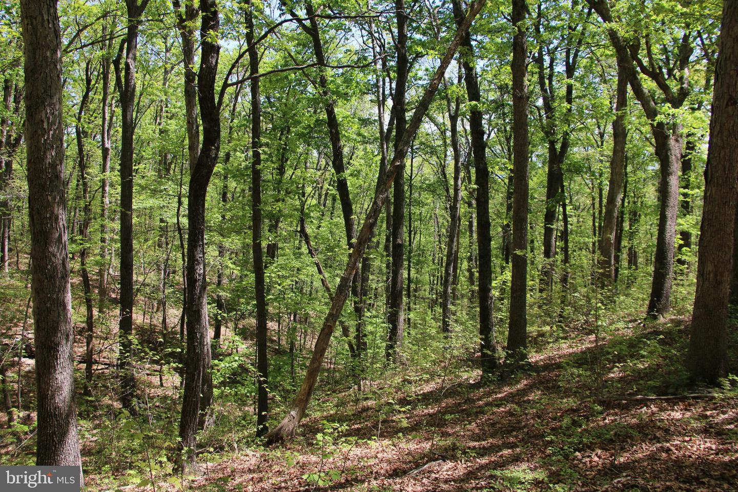 N EGYPT BEND RD, LURAY, Virginia 22835, ,Land,For sale,N EGYPT BEND RD,VAPA2004810 MLS # VAPA2004810