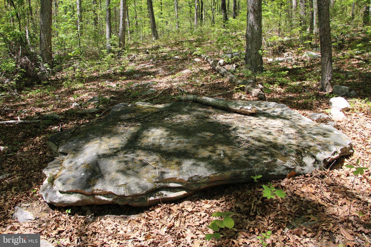 N EGYPT BEND RD, LURAY, Virginia 22835, ,Land,For sale,N EGYPT BEND RD,VAPA2004810 MLS # VAPA2004810