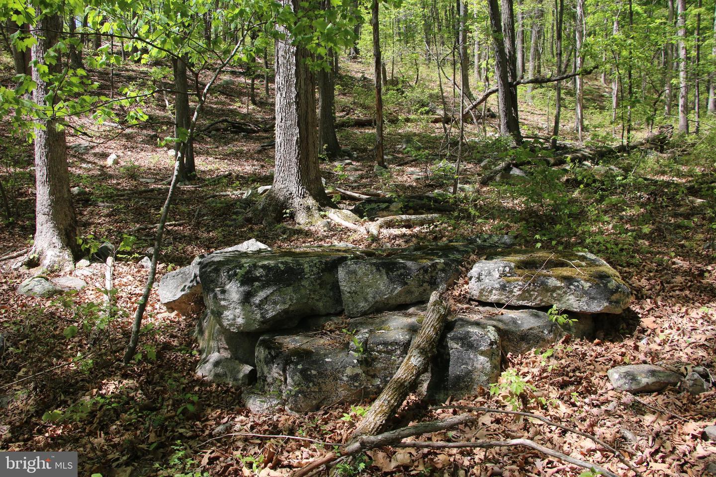 N EGYPT BEND RD, LURAY, Virginia 22835, ,Land,For sale,N EGYPT BEND RD,VAPA2004810 MLS # VAPA2004810