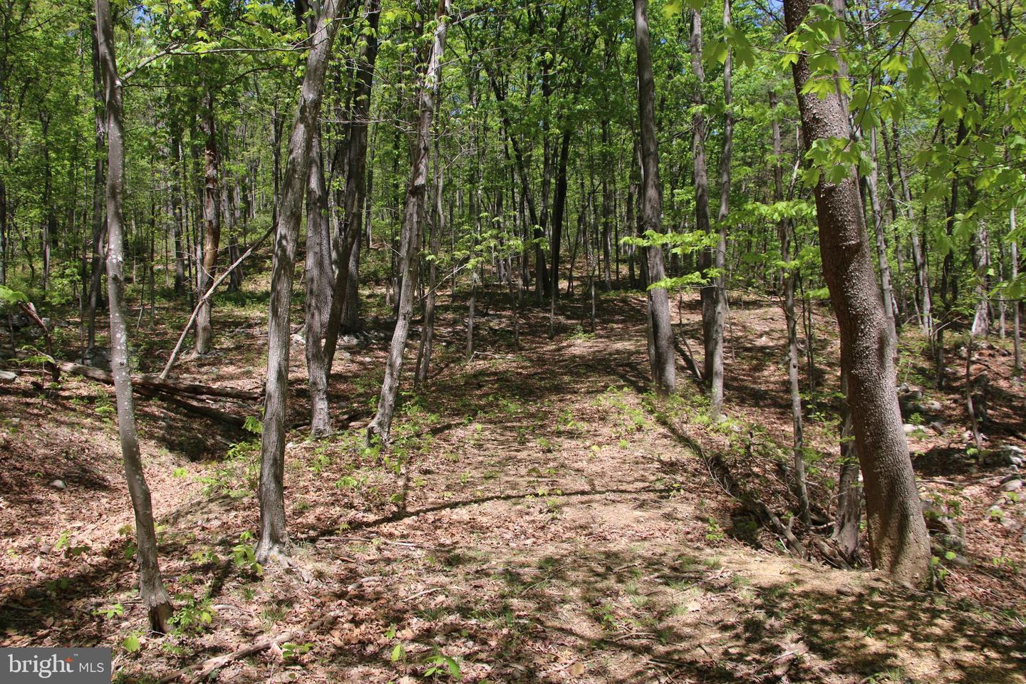 N EGYPT BEND RD, LURAY, Virginia 22835, ,Land,For sale,N EGYPT BEND RD,VAPA2004810 MLS # VAPA2004810