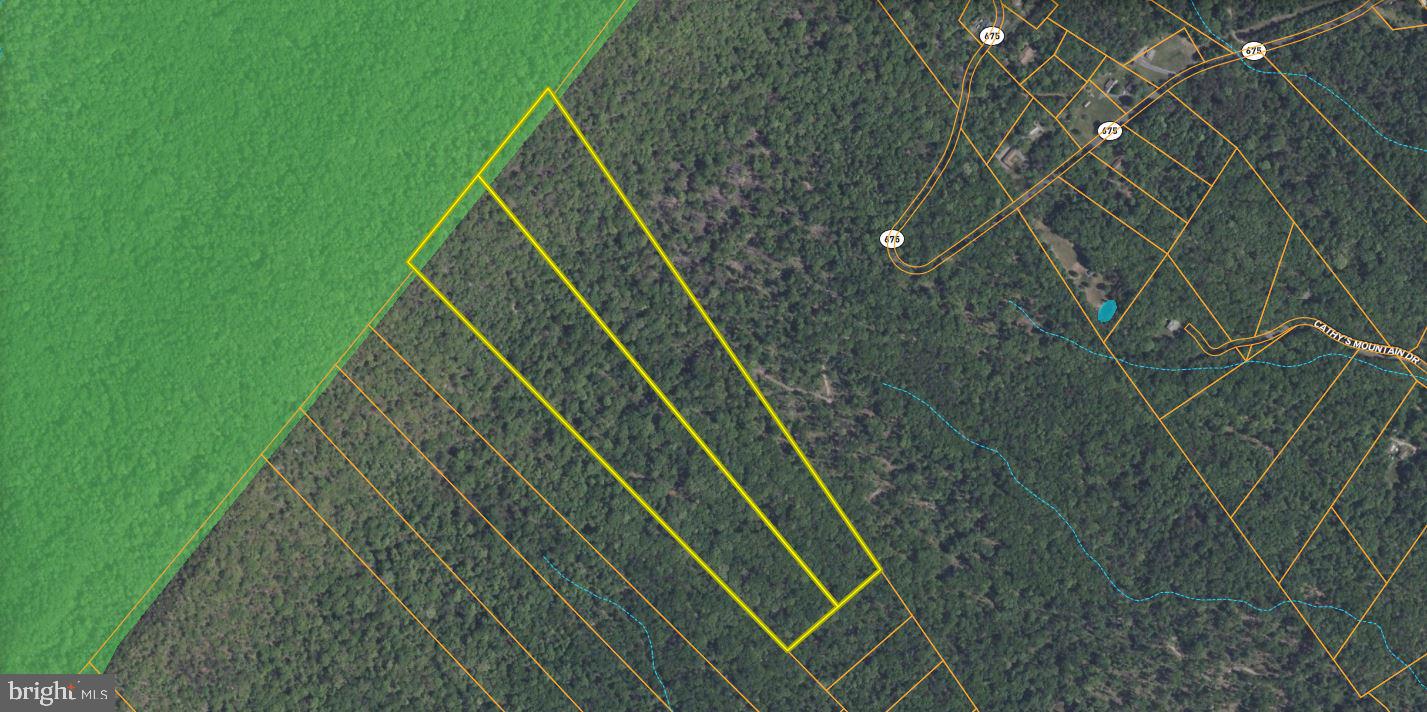 N EGYPT BEND RD, LURAY, Virginia 22835, ,Land,For sale,N EGYPT BEND RD,VAPA2004810 MLS # VAPA2004810