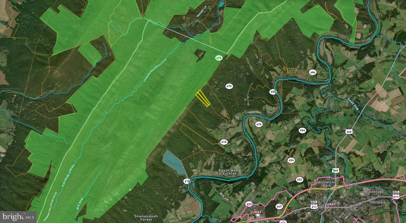 N EGYPT BEND RD, LURAY, Virginia 22835, ,Land,For sale,N EGYPT BEND RD,VAPA2004810 MLS # VAPA2004810
