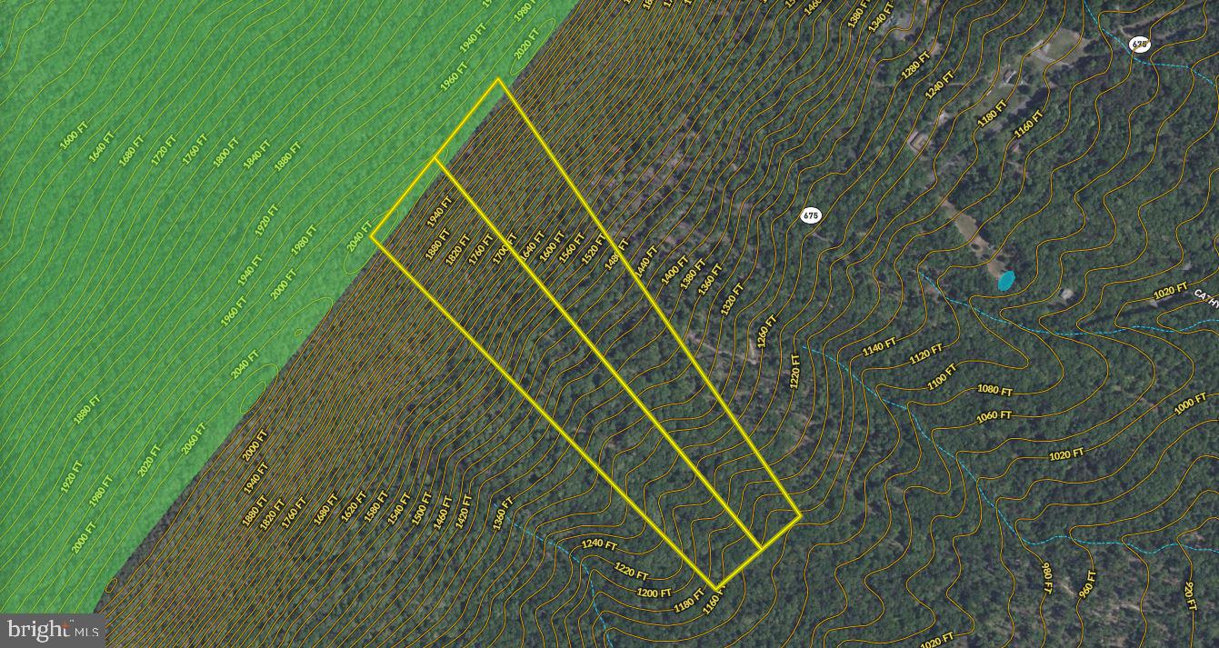 N EGYPT BEND RD, LURAY, Virginia 22835, ,Land,For sale,N EGYPT BEND RD,VAPA2004810 MLS # VAPA2004810