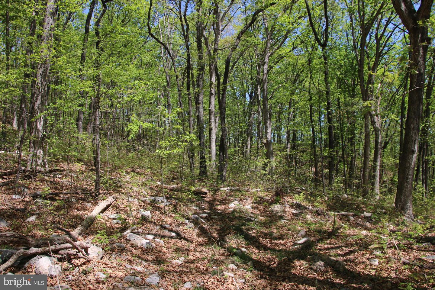 N EGYPT BEND RD, LURAY, Virginia 22835, ,Land,For sale,N EGYPT BEND RD,VAPA2004810 MLS # VAPA2004810