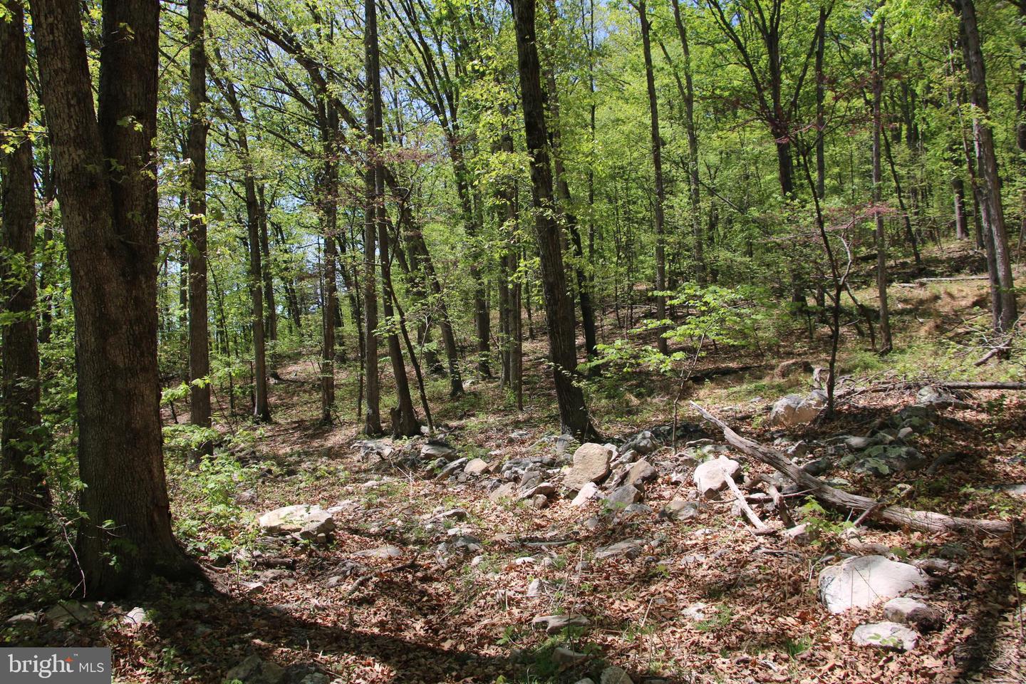N EGYPT BEND RD, LURAY, Virginia 22835, ,Land,For sale,N EGYPT BEND RD,VAPA2004810 MLS # VAPA2004810