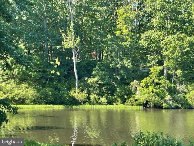 12511 HAWKINS LN, SPOTSYLVANIA, Virginia 22551, ,Land,For sale,12511 HAWKINS LN,VASP2033392 MLS # VASP2033392