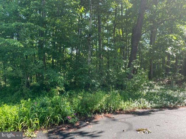12511 HAWKINS LN, SPOTSYLVANIA, Virginia 22551, ,Land,For sale,12511 HAWKINS LN,VASP2033392 MLS # VASP2033392