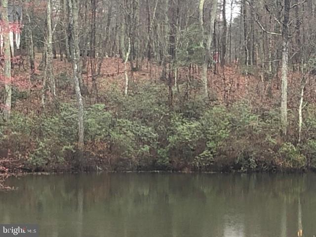 12511 HAWKINS LN, SPOTSYLVANIA, Virginia 22551, ,Land,For sale,12511 HAWKINS LN,VASP2033392 MLS # VASP2033392