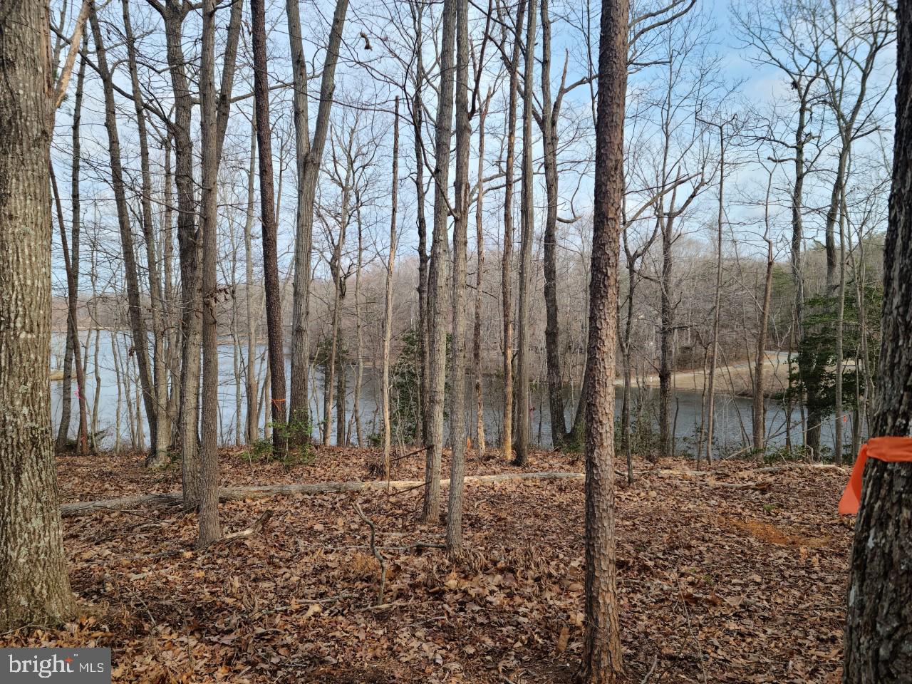 12511 HAWKINS LN, SPOTSYLVANIA, Virginia 22551, ,Land,For sale,12511 HAWKINS LN,VASP2033392 MLS # VASP2033392