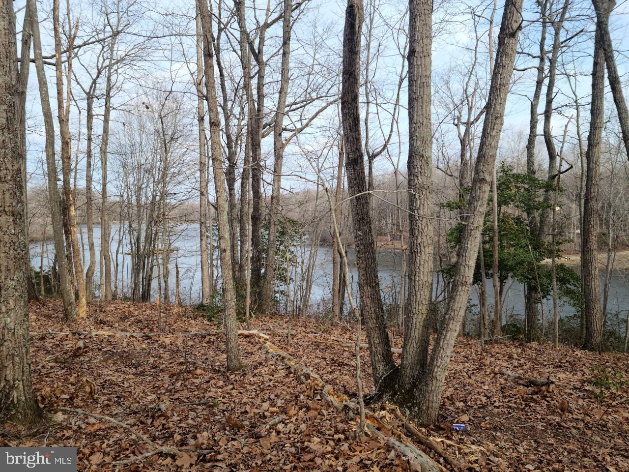 12511 HAWKINS LN, SPOTSYLVANIA, Virginia 22551, ,Land,For sale,12511 HAWKINS LN,VASP2033392 MLS # VASP2033392