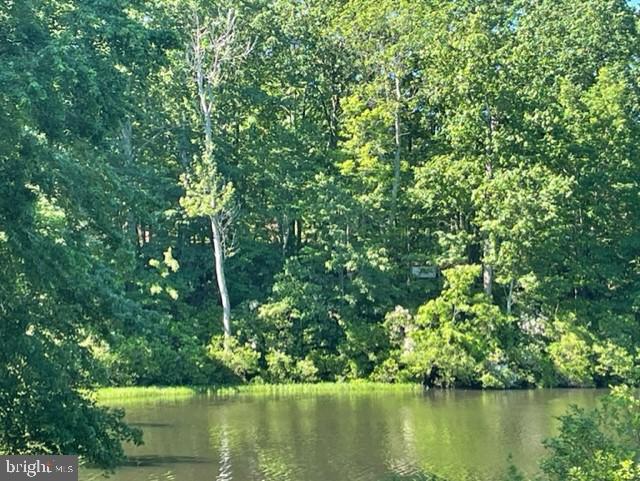 12511 HAWKINS LN, SPOTSYLVANIA, Virginia 22551, ,Land,For sale,12511 HAWKINS LN,VASP2033392 MLS # VASP2033392