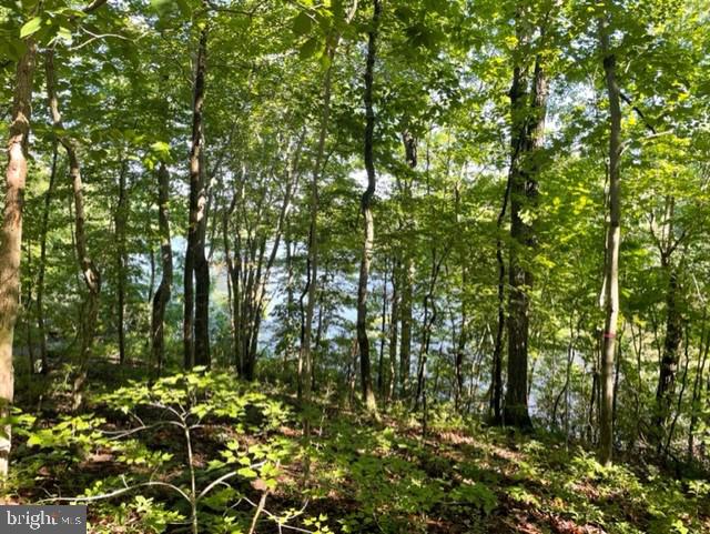 12511 HAWKINS LN, SPOTSYLVANIA, Virginia 22551, ,Land,For sale,12511 HAWKINS LN,VASP2033392 MLS # VASP2033392
