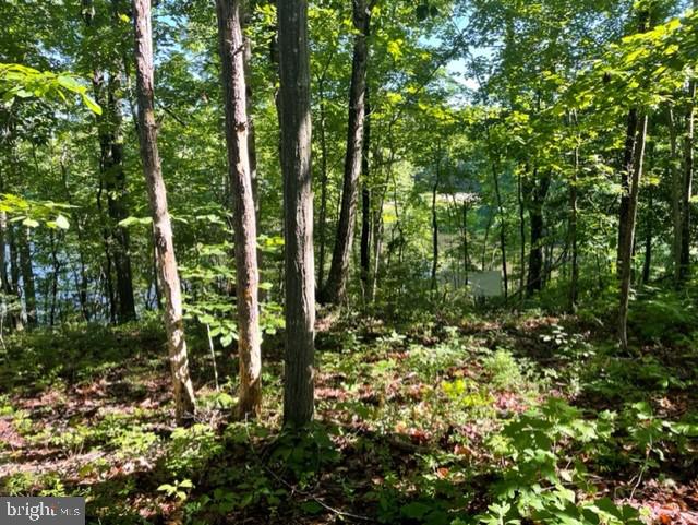 12511 HAWKINS LN, SPOTSYLVANIA, Virginia 22551, ,Land,For sale,12511 HAWKINS LN,VASP2033392 MLS # VASP2033392