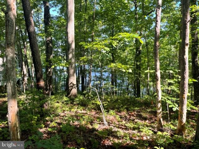 12511 HAWKINS LN, SPOTSYLVANIA, Virginia 22551, ,Land,For sale,12511 HAWKINS LN,VASP2033392 MLS # VASP2033392