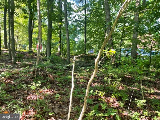 12511 HAWKINS LN, SPOTSYLVANIA, Virginia 22551, ,Land,For sale,12511 HAWKINS LN,VASP2033392 MLS # VASP2033392
