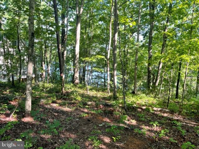 12511 HAWKINS LN, SPOTSYLVANIA, Virginia 22551, ,Land,For sale,12511 HAWKINS LN,VASP2033392 MLS # VASP2033392