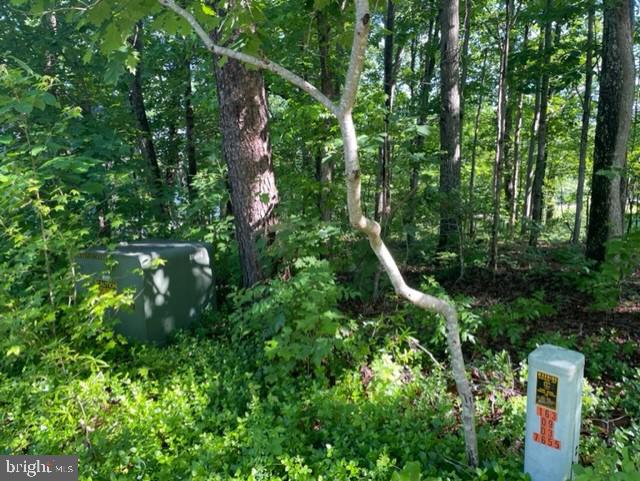 12511 HAWKINS LN, SPOTSYLVANIA, Virginia 22551, ,Land,For sale,12511 HAWKINS LN,VASP2033392 MLS # VASP2033392