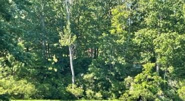 12511 HAWKINS LN, SPOTSYLVANIA, Virginia 22551, ,Land,For sale,12511 HAWKINS LN,VASP2033392 MLS # VASP2033392
