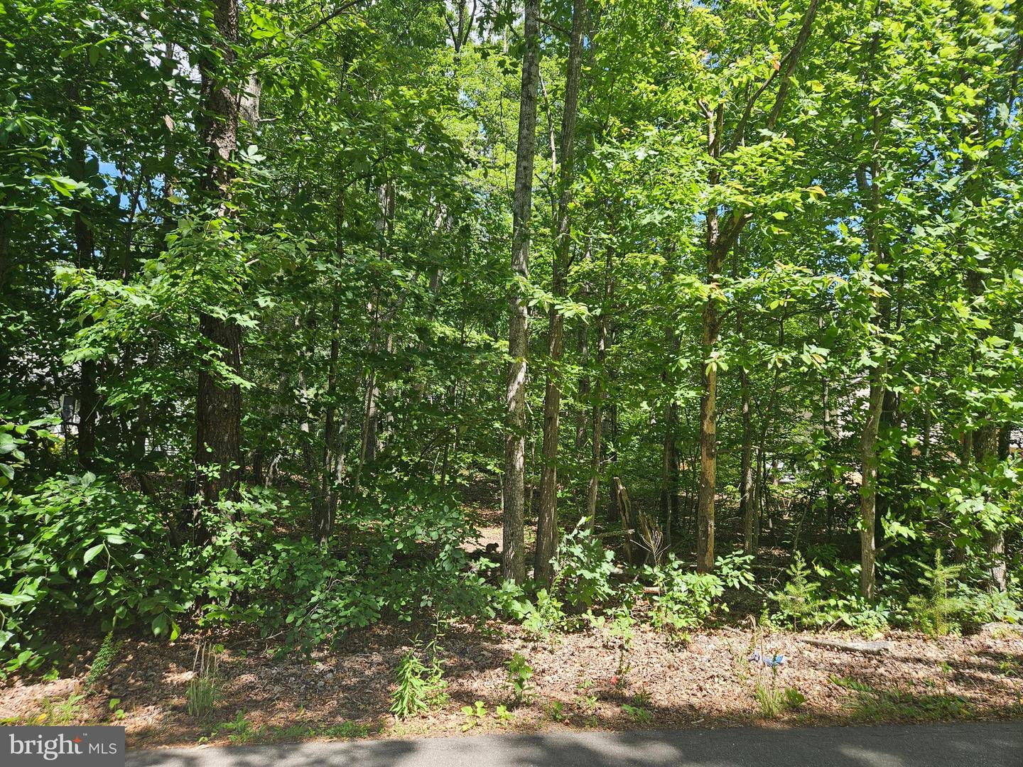 12817 PLANTATION DR, SPOTSYLVANIA, Virginia 22551, ,Land,For sale,12817 PLANTATION DR,VASP2033456 MLS # VASP2033456