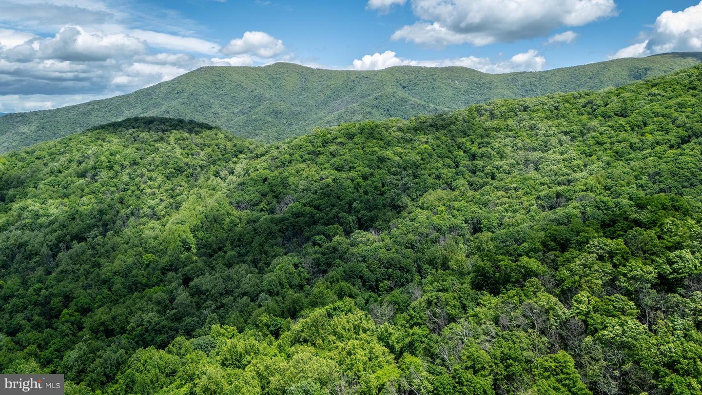 0 HELMS RD, STANLEY, Virginia 22851, ,Land,For sale,0 HELMS RD,VAPA2004946 MLS # VAPA2004946