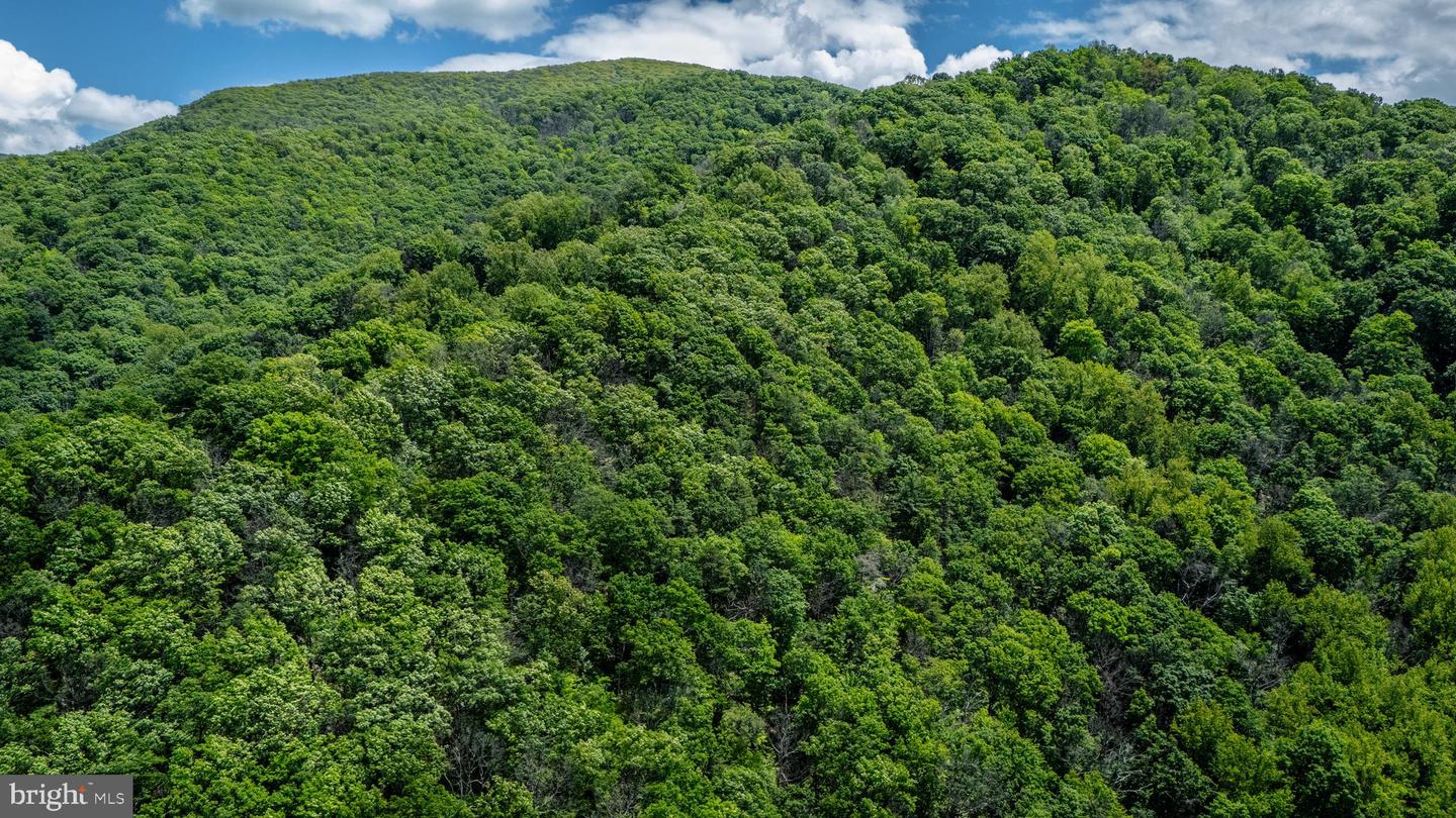 0 HELMS RD, STANLEY, Virginia 22851, ,Land,For sale,0 HELMS RD,VAPA2004946 MLS # VAPA2004946