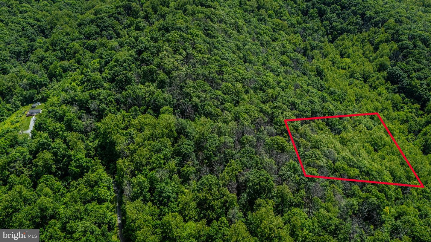 0 HELMS RD, STANLEY, Virginia 22851, ,Land,For sale,0 HELMS RD,VAPA2004946 MLS # VAPA2004946