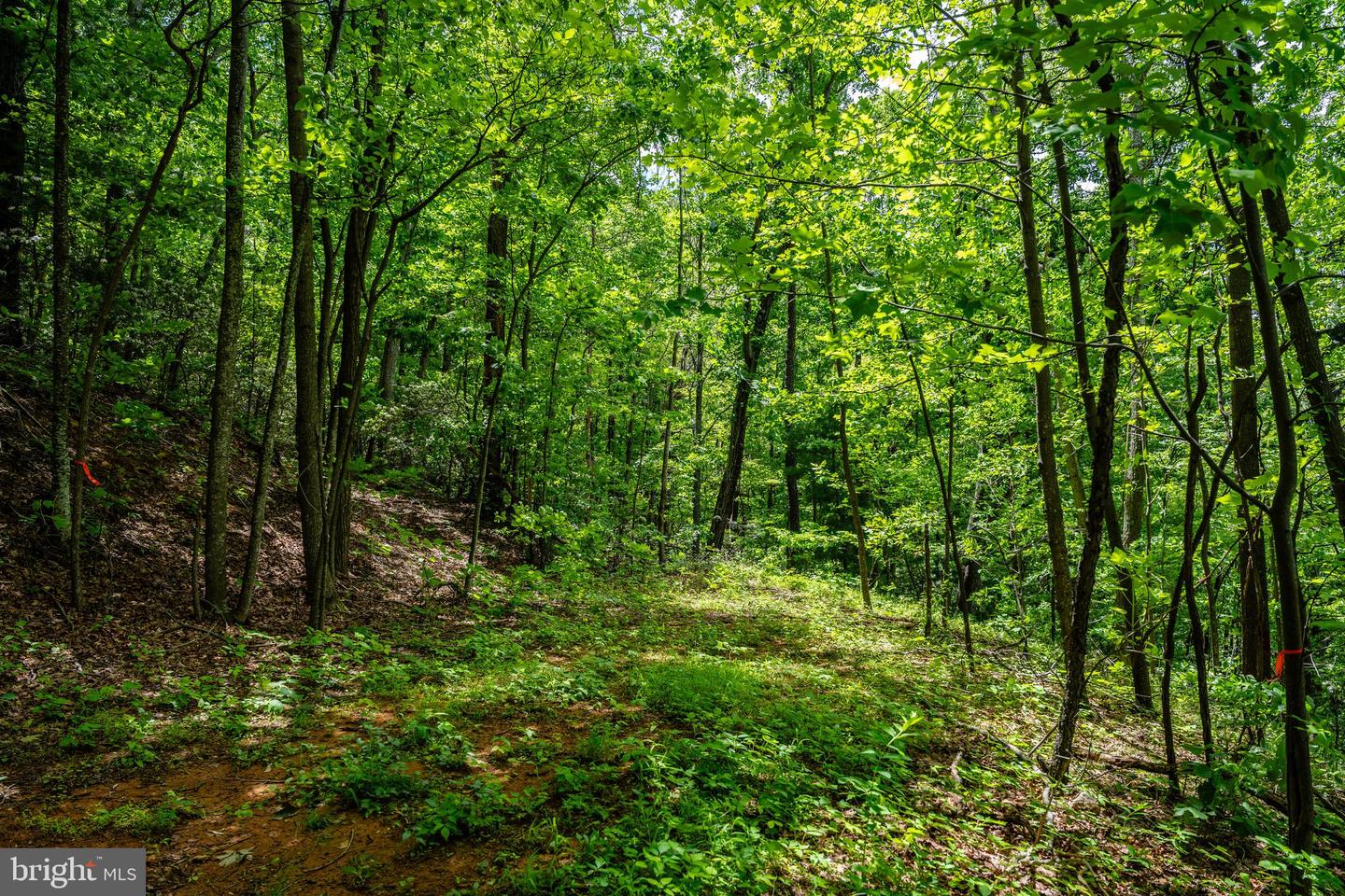 0 HELMS RD, STANLEY, Virginia 22851, ,Land,For sale,0 HELMS RD,VAPA2004946 MLS # VAPA2004946
