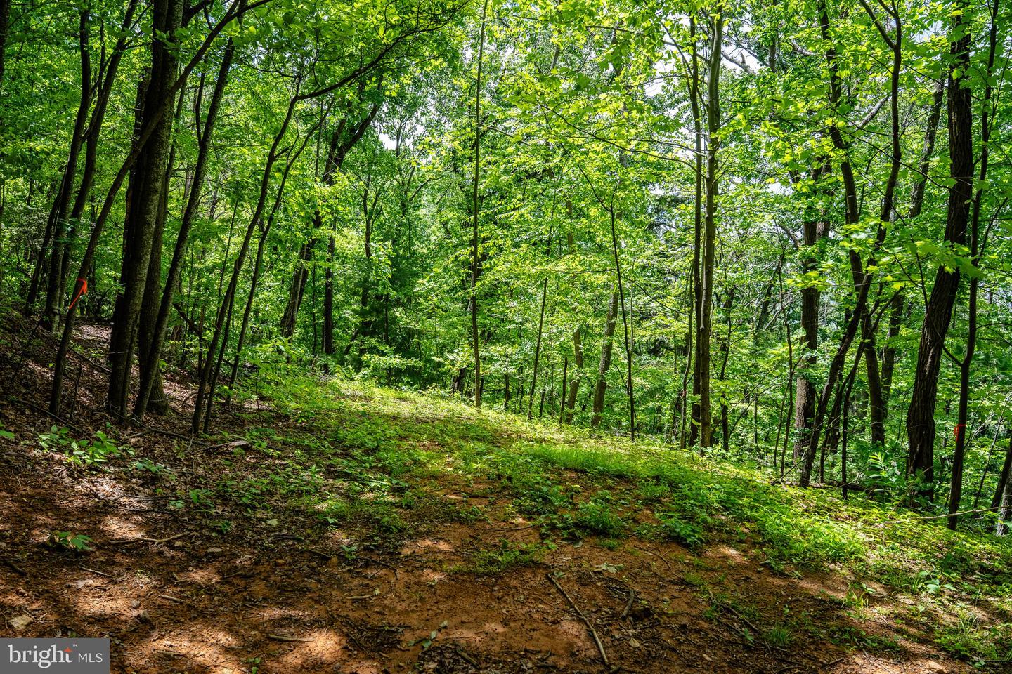 0 HELMS RD, STANLEY, Virginia 22851, ,Land,For sale,0 HELMS RD,VAPA2004946 MLS # VAPA2004946