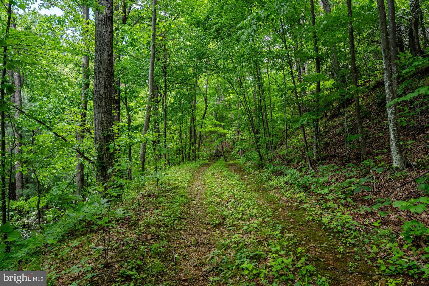 0 HELMS RD, STANLEY, Virginia 22851, ,Land,For sale,0 HELMS RD,VAPA2004946 MLS # VAPA2004946