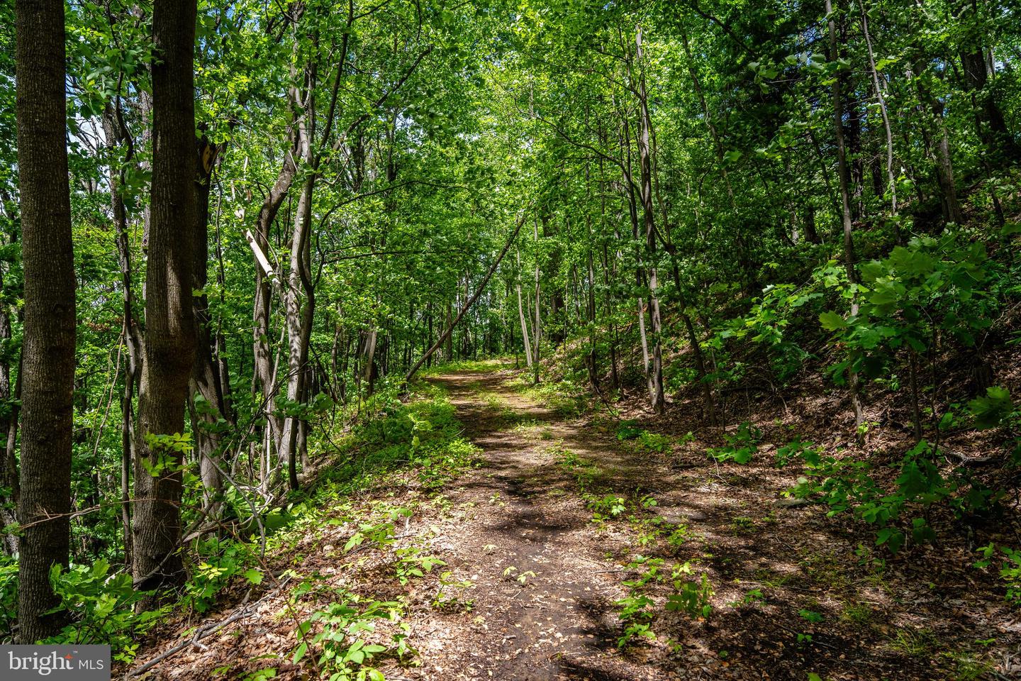 0 HELMS RD, STANLEY, Virginia 22851, ,Land,For sale,0 HELMS RD,VAPA2004946 MLS # VAPA2004946