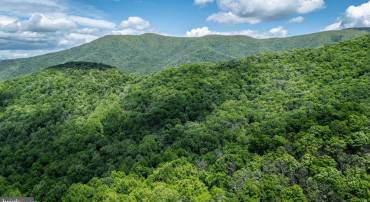 0 HELMS RD, STANLEY, Virginia 22851, ,Land,For sale,0 HELMS RD,VAPA2004946 MLS # VAPA2004946