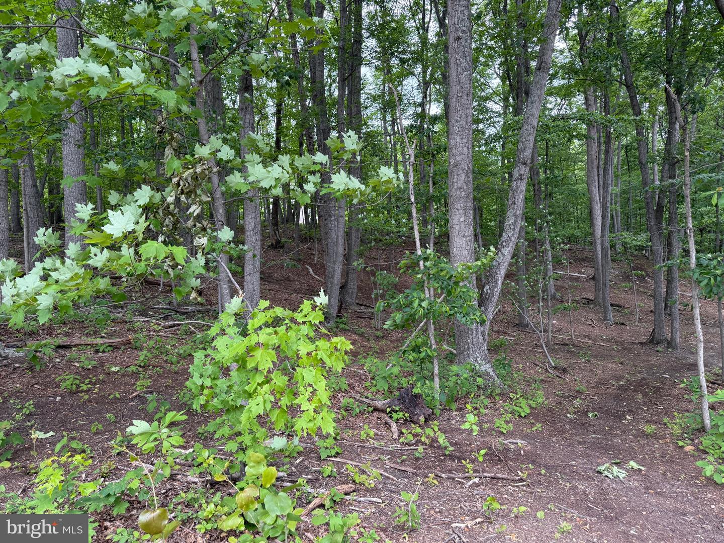 LOT 15 PANTHER DRIVE, WINCHESTER, Virginia 22602, ,Land,For sale,LOT 15 PANTHER DRIVE,VAFV2034436 MLS # VAFV2034436