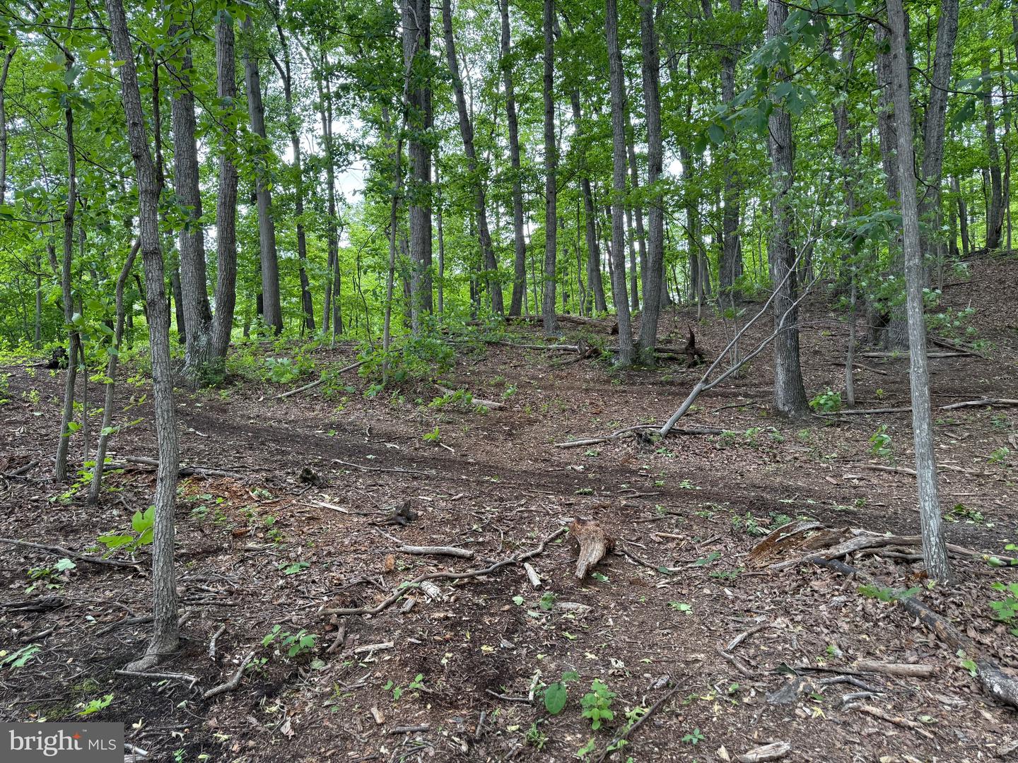 LOT 15 PANTHER DRIVE, WINCHESTER, Virginia 22602, ,Land,For sale,LOT 15 PANTHER DRIVE,VAFV2034436 MLS # VAFV2034436