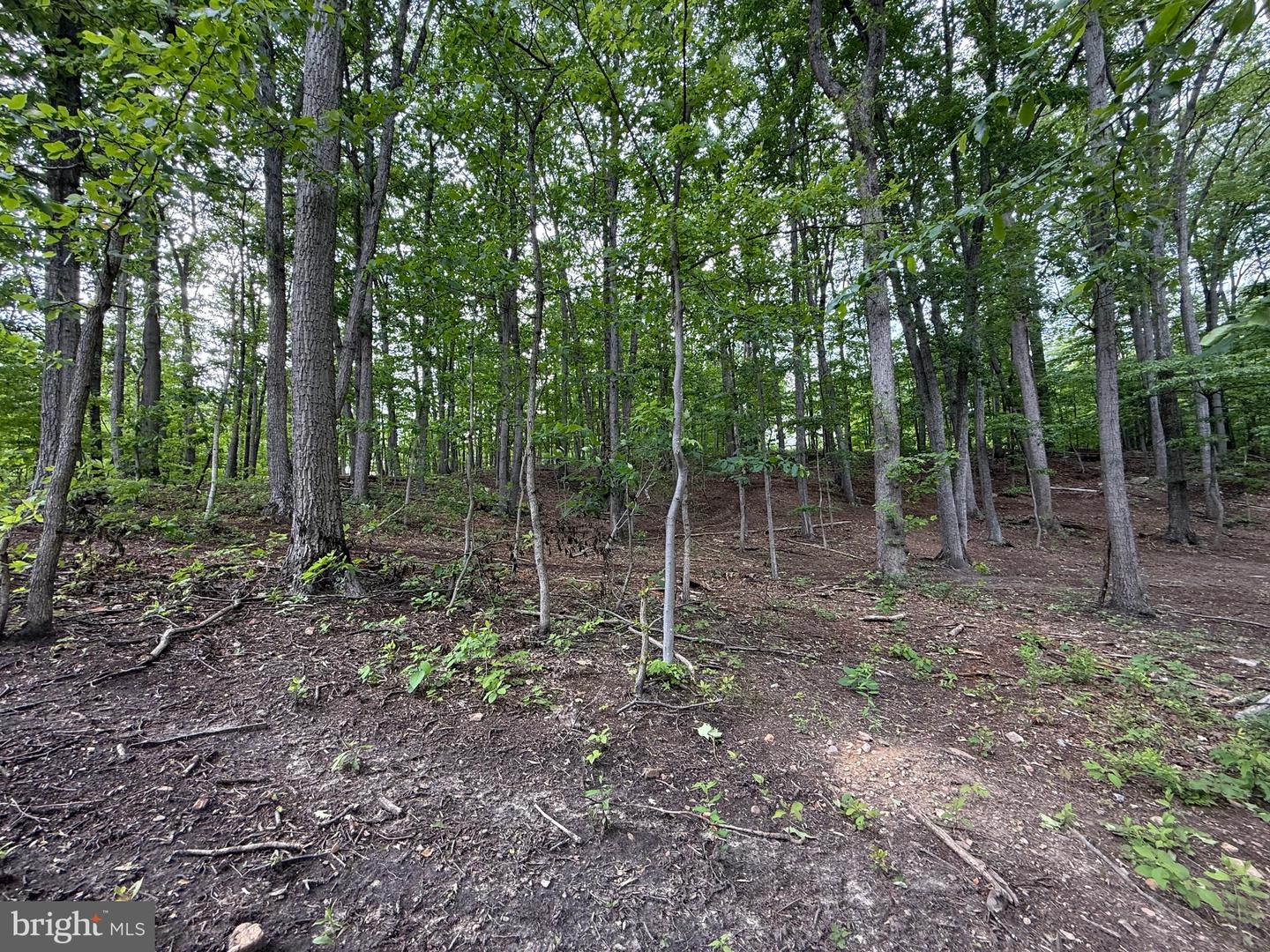 LOT 15 PANTHER DRIVE, WINCHESTER, Virginia 22602, ,Land,For sale,LOT 15 PANTHER DRIVE,VAFV2034436 MLS # VAFV2034436
