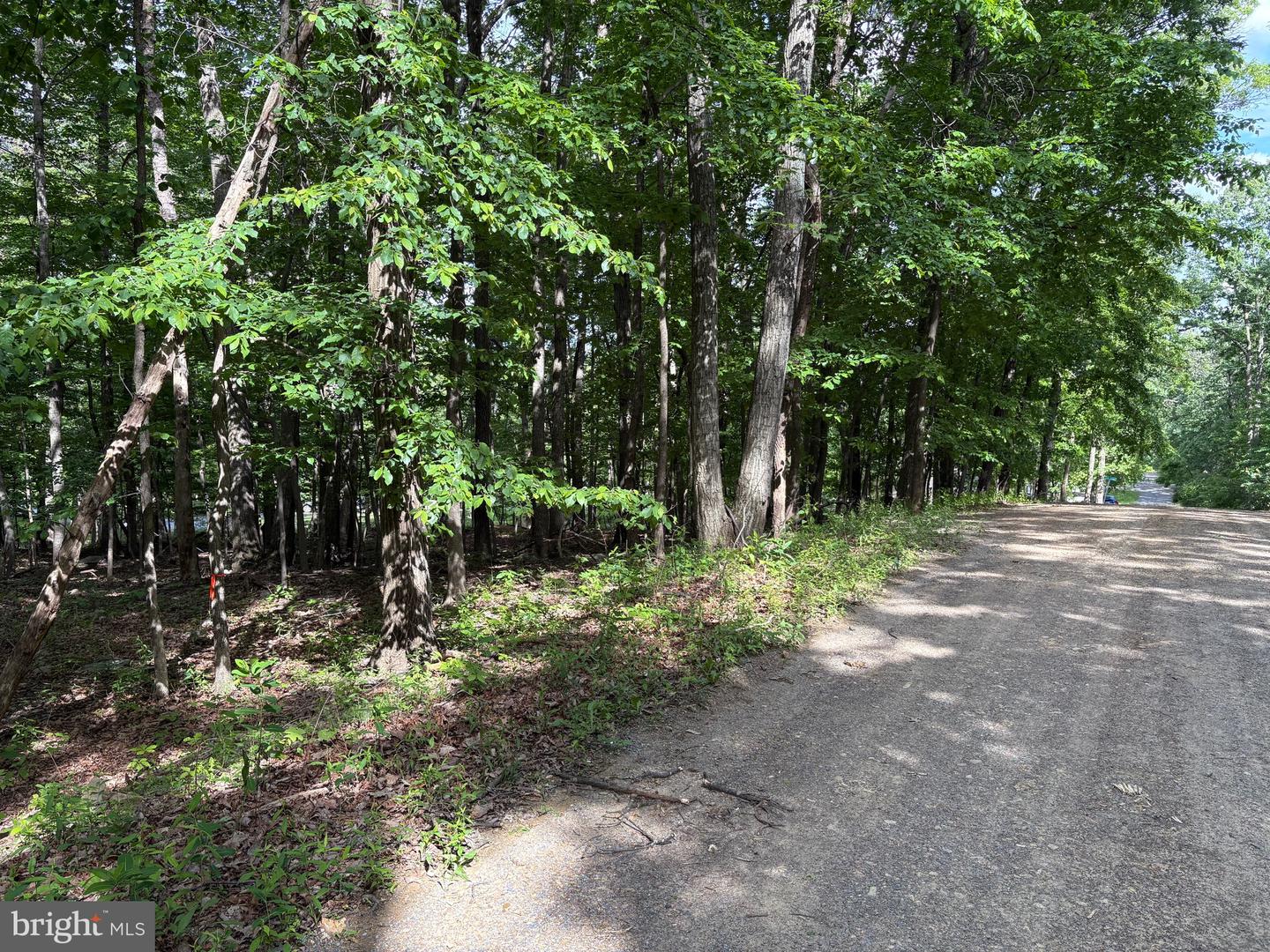 LOT 1 CROW DR, WINCHESTER, Virginia 22602, ,Land,For sale,LOT 1 CROW DR,VAFV2034444 MLS # VAFV2034444