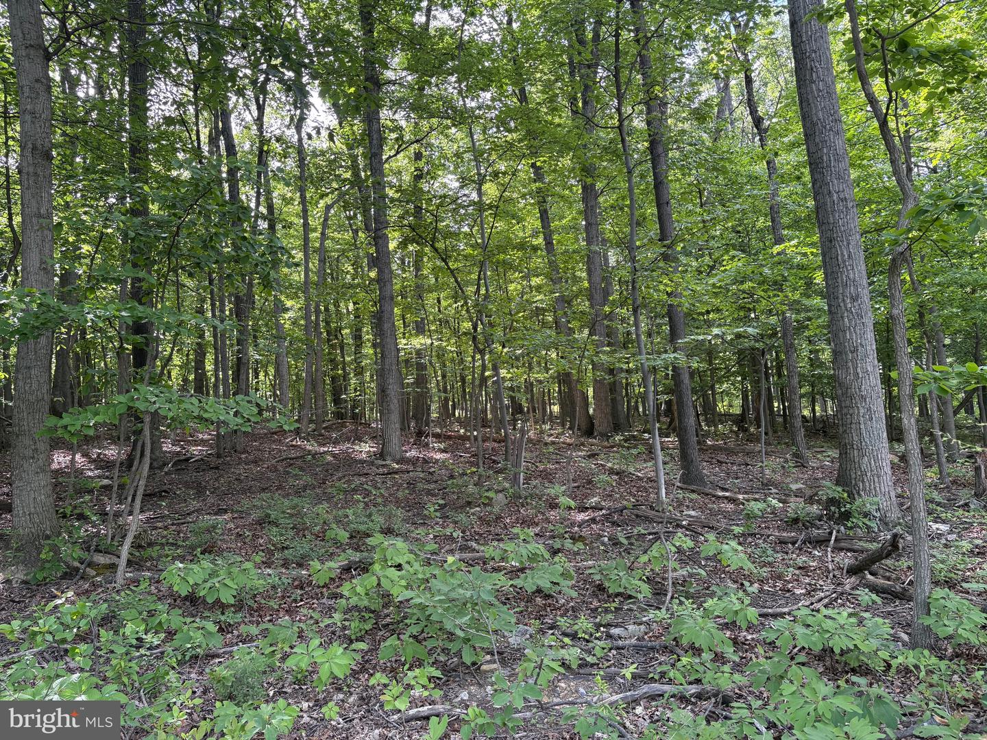 LOT 1 CROW DR, WINCHESTER, Virginia 22602, ,Land,For sale,LOT 1 CROW DR,VAFV2034444 MLS # VAFV2034444