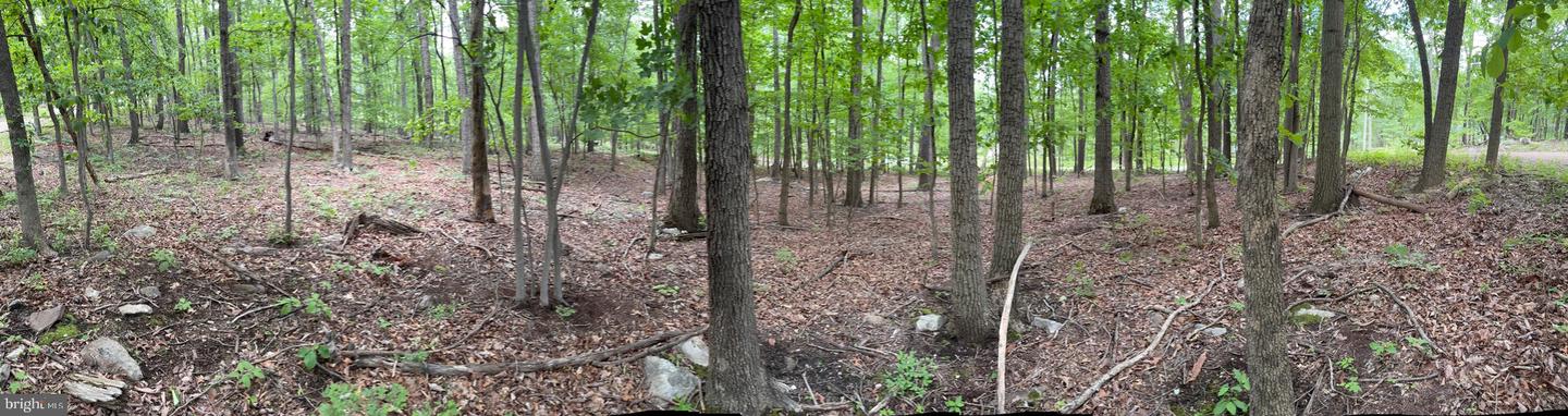 LOT 1 CROW DR, WINCHESTER, Virginia 22602, ,Land,For sale,LOT 1 CROW DR,VAFV2034444 MLS # VAFV2034444