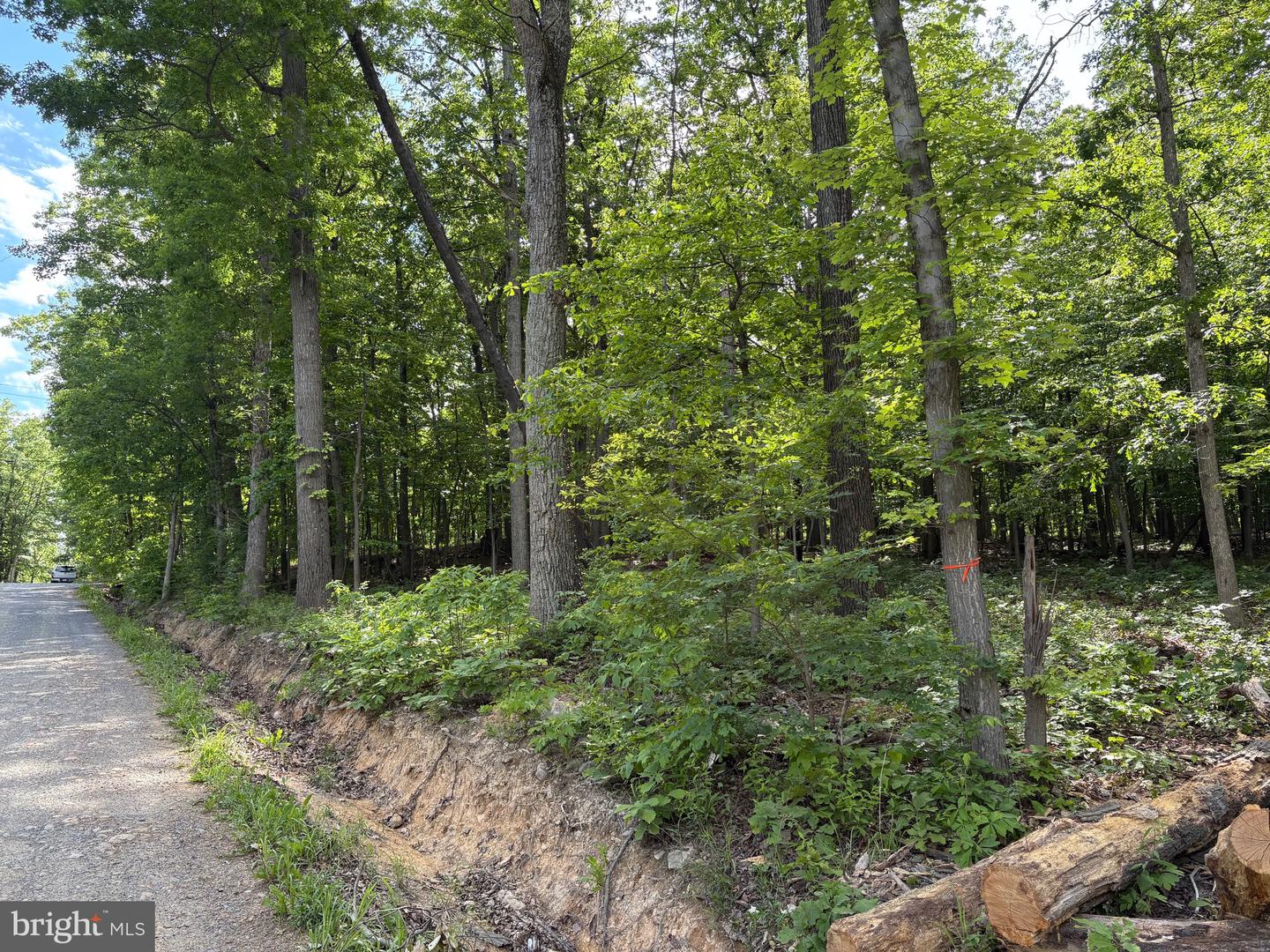 LOT 1 CROW DR, WINCHESTER, Virginia 22602, ,Land,For sale,LOT 1 CROW DR,VAFV2034444 MLS # VAFV2034444