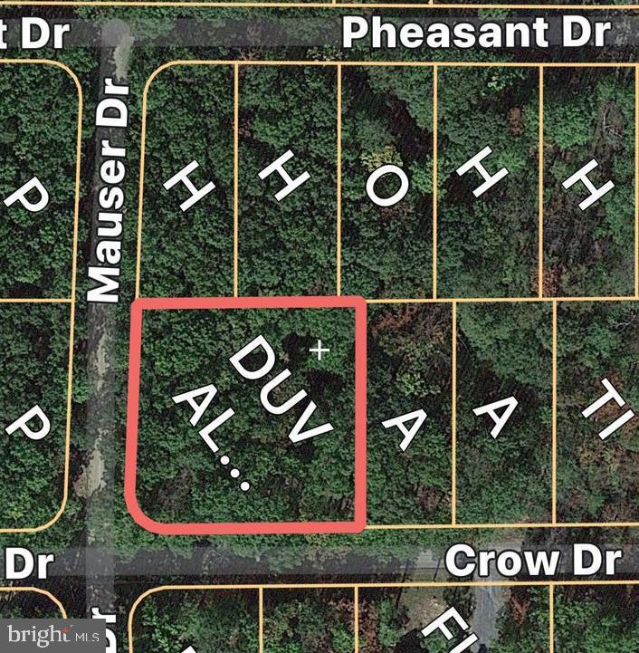 LOT 1 CROW DR, WINCHESTER, Virginia 22602, ,Land,For sale,LOT 1 CROW DR,VAFV2034444 MLS # VAFV2034444