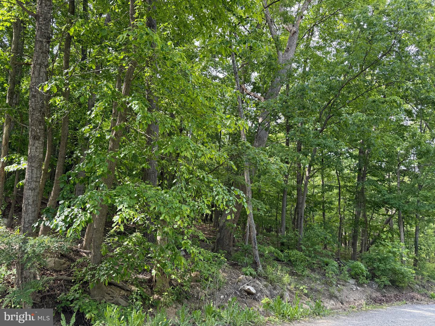 LOT 1 CROW DR, WINCHESTER, Virginia 22602, ,Land,For sale,LOT 1 CROW DR,VAFV2034444 MLS # VAFV2034444