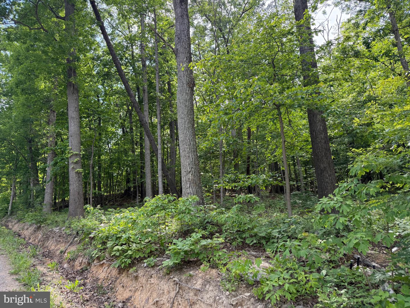 LOT 1 CROW DR, WINCHESTER, Virginia 22602, ,Land,For sale,LOT 1 CROW DR,VAFV2034444 MLS # VAFV2034444