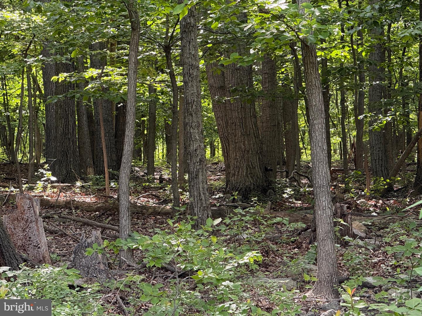LOT 1 CROW DR, WINCHESTER, Virginia 22602, ,Land,For sale,LOT 1 CROW DR,VAFV2034444 MLS # VAFV2034444
