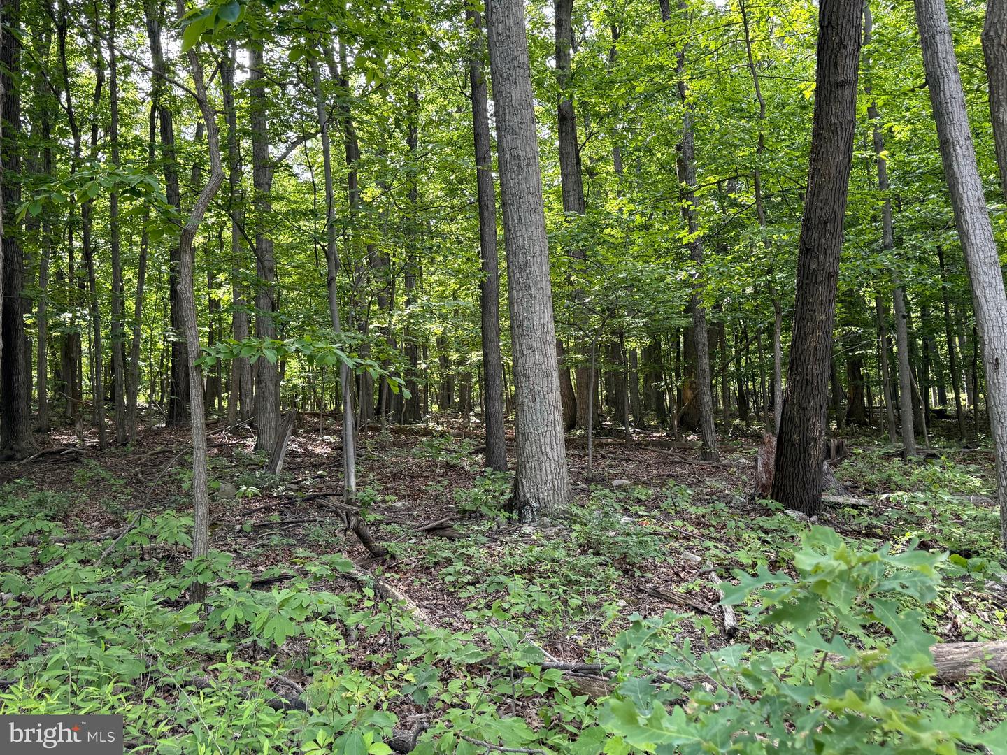 LOT 1 CROW DR, WINCHESTER, Virginia 22602, ,Land,For sale,LOT 1 CROW DR,VAFV2034444 MLS # VAFV2034444