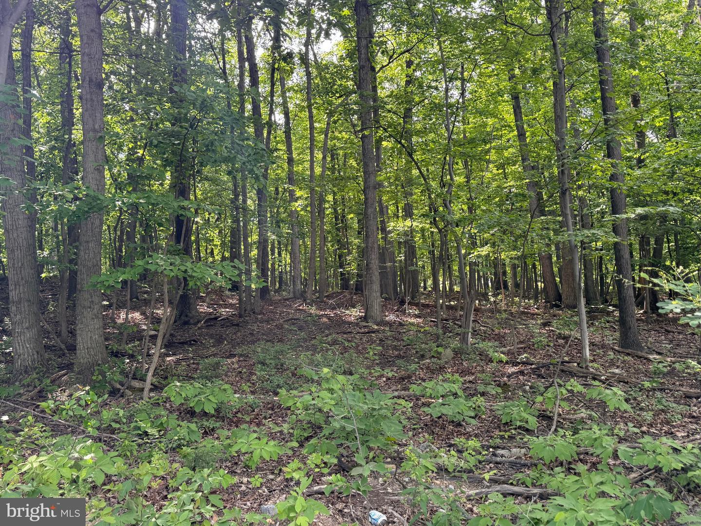 LOT 1 CROW DR, WINCHESTER, Virginia 22602, ,Land,For sale,LOT 1 CROW DR,VAFV2034444 MLS # VAFV2034444
