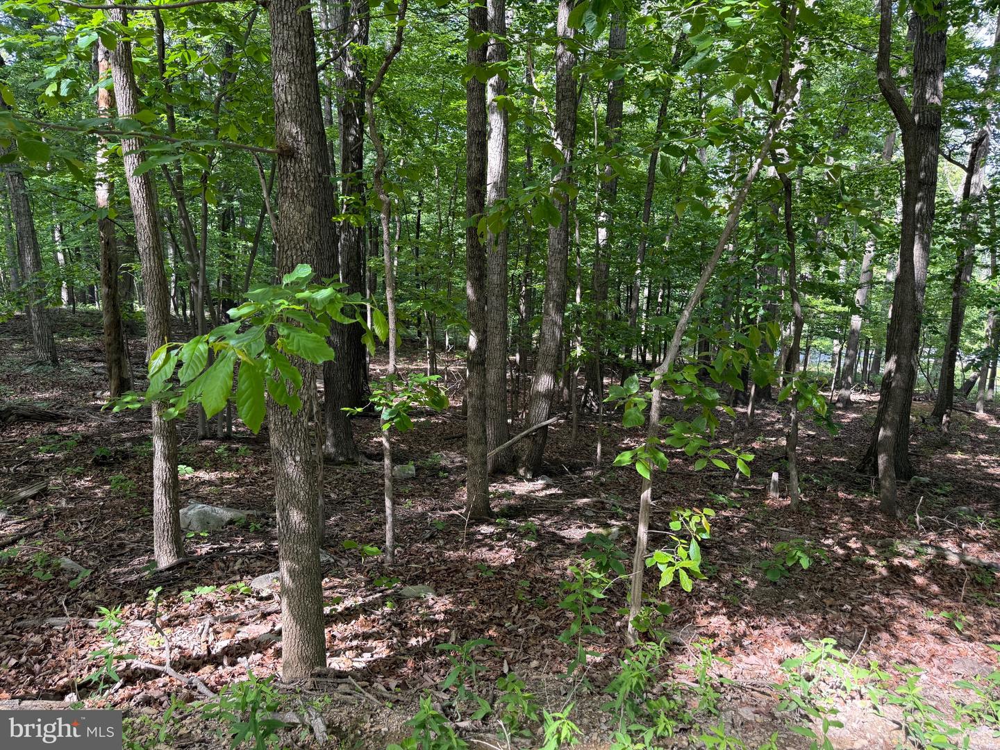 LOT 1 CROW DR, WINCHESTER, Virginia 22602, ,Land,For sale,LOT 1 CROW DR,VAFV2034444 MLS # VAFV2034444